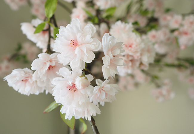 八重桜のアートフラワー