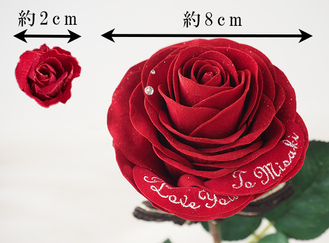 左：メッセージローズベアー用ミニバラ、右：１本バラ用の赤バラ