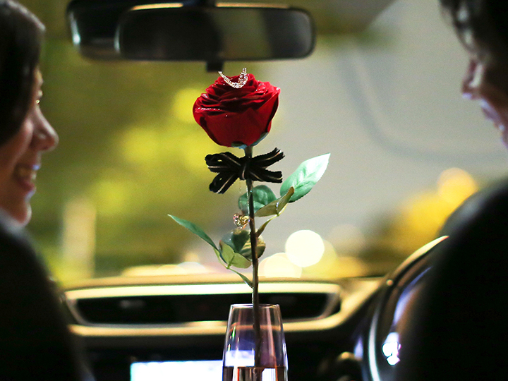 車の中で1本のバラでプロポーズ