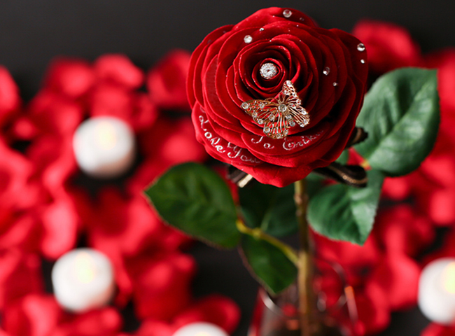 「美女と野獣」で鍵となる赤いバラ