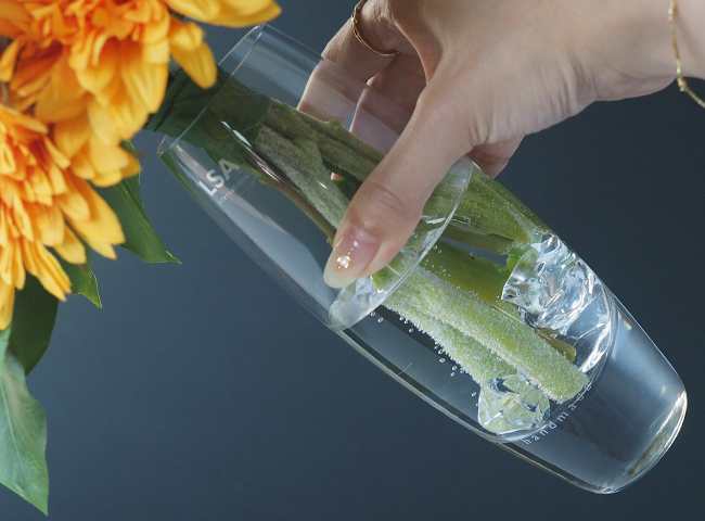 魔法のお水とクラッシュアイス入りの花瓶