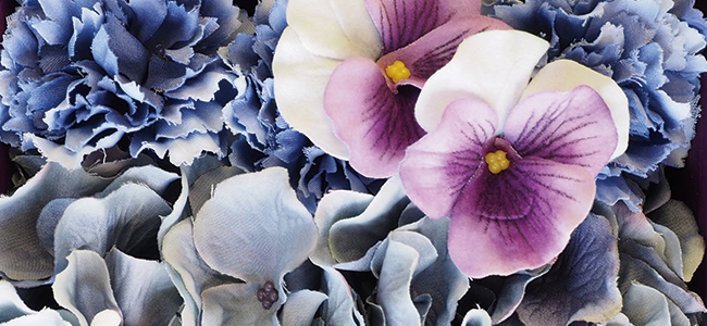 紫のビオラとブルーの花々