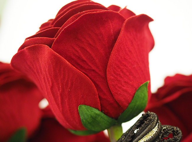 ベルベット製の赤いバラ