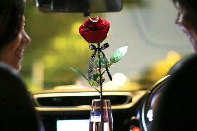 車内でプレゼント　赤バラ