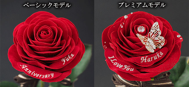 赤バラのベーシックモデルとプレミアムモデル