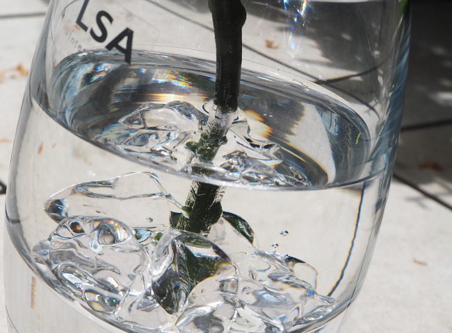 ガラス花瓶にはフェイクの氷とお水が使用されています