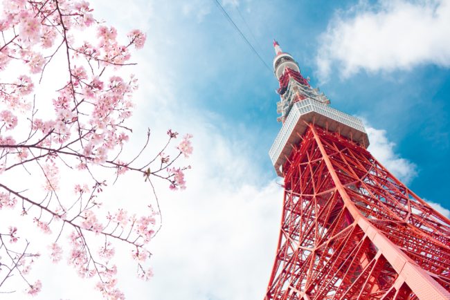 の春の東京タワーでサプライズプロポーズ