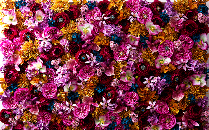 フラワーコンシェルジュBLOG プロポーズのフラワーギフト“メリアルーム”